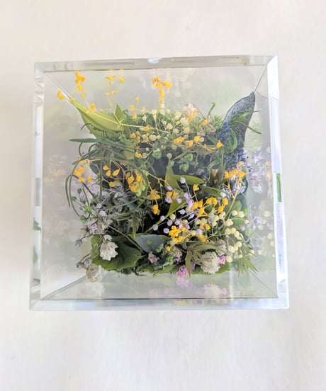 野原の四ツ葉のクローバー探し／クリアボックス／プリザーブドグリーン（グリーンの中に四ツ葉のクローバーをしのばせてます）