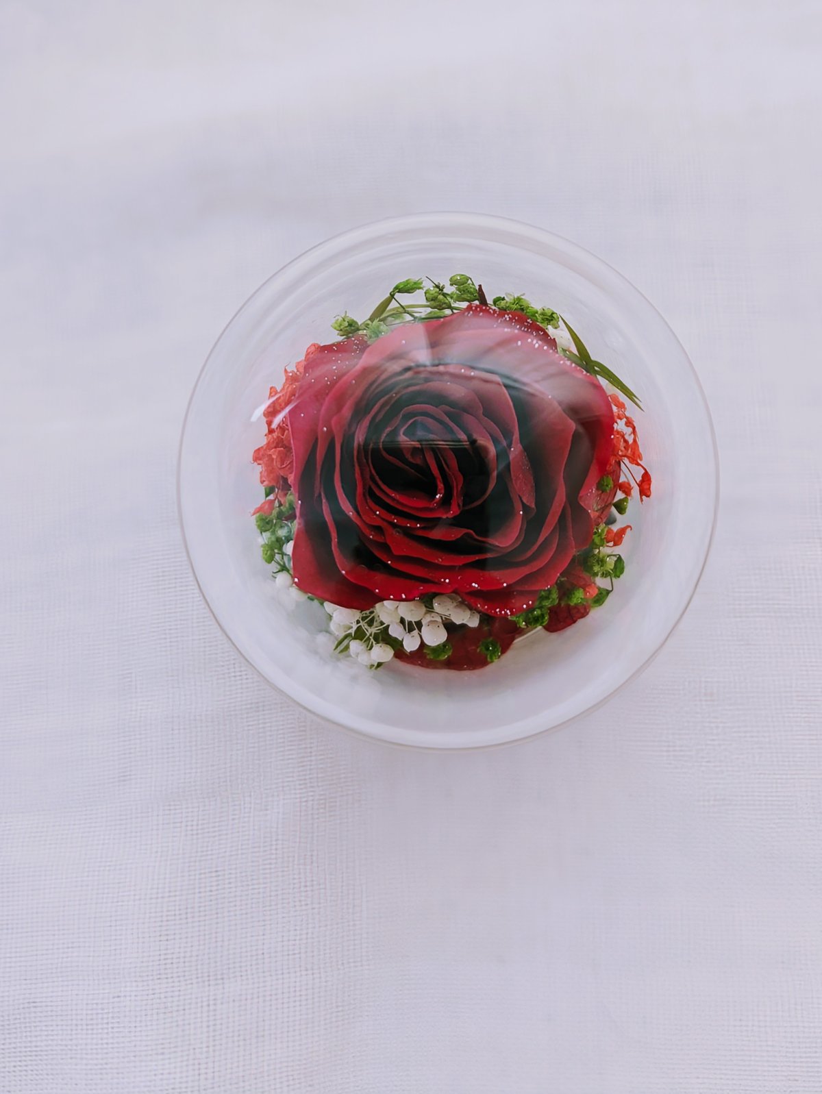 プリザーブドフラワー/ミニガラスドーム 赤いミニ薔薇のミニ プリザーブドフラワー/ミニガラスドーム 赤いミニ薔薇のミニ