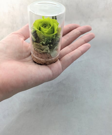プリザーブドフラワー／　緑のミニ薔薇と小花のミニガラスボトルギフト