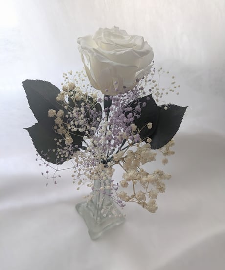 【プリザーブドフラワー／大輪の白薔薇と白とパープルかすみ草のふんわり一輪ラッピング】