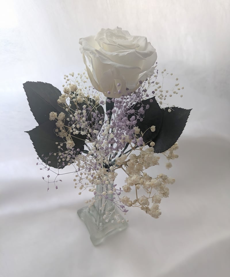 プリザーブドフラワー／大輪の白薔薇と白とパープルかすみ草のふんわり