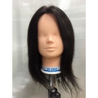 レジーナ LC-50 11体セット 国家試験規格カット済み レジーナ LC-50 11体セット 国家試験規格カット済み - メルカリ