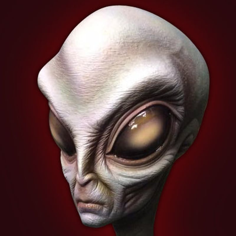 The Grey Alien kit【取り寄せ】 | Roswell Japan