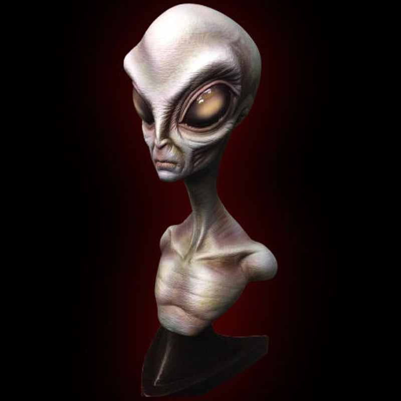 ［レア美品］Area51 / The Alienist The Grey Alien kit【取り寄せ】 | Roswell Japan