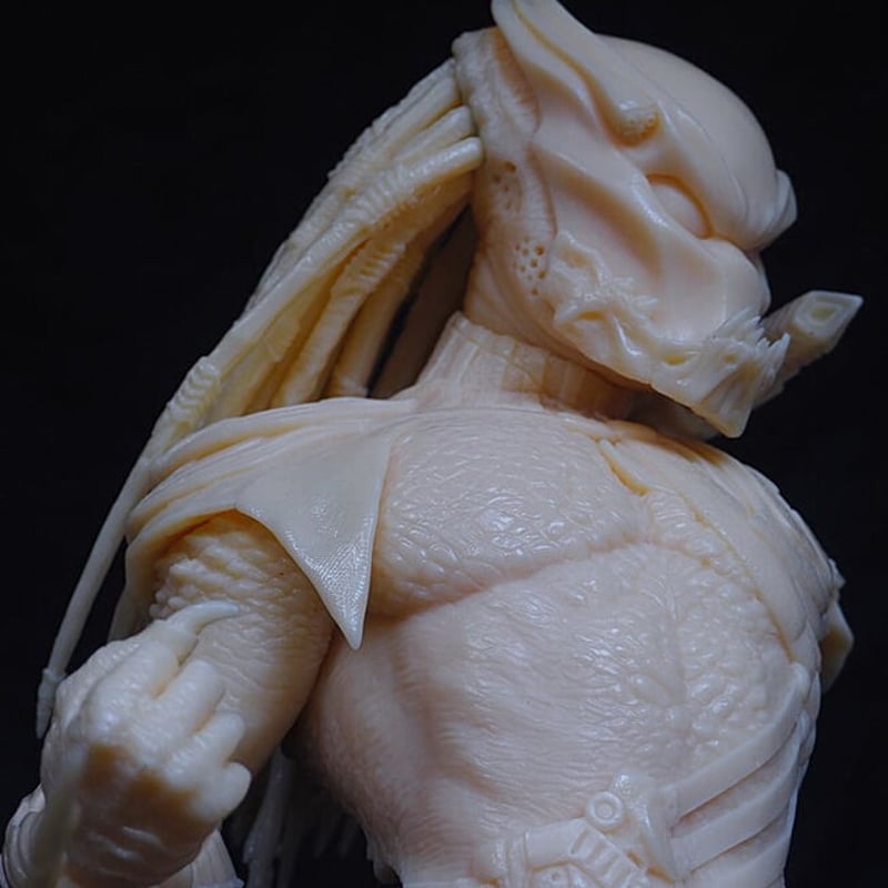 CAESAR 凱撒　良血統　子株付き　コレクション株 CAESAR 凱撒 良血統 子株付き コレクション株 1246-_-cut212-_40_972ef1e2-