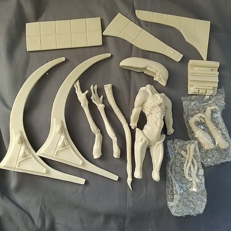 ✴alienさま専用　2405-B ✴ Amazon.com: Ghoulish Productions Area 51 Alien Latex Mask