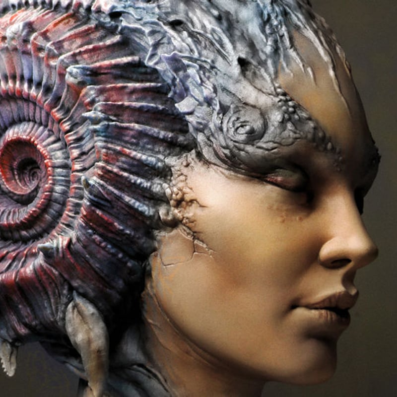 Caracolilla 1/2scale Bust kit【取り寄せ】 | Roswell J