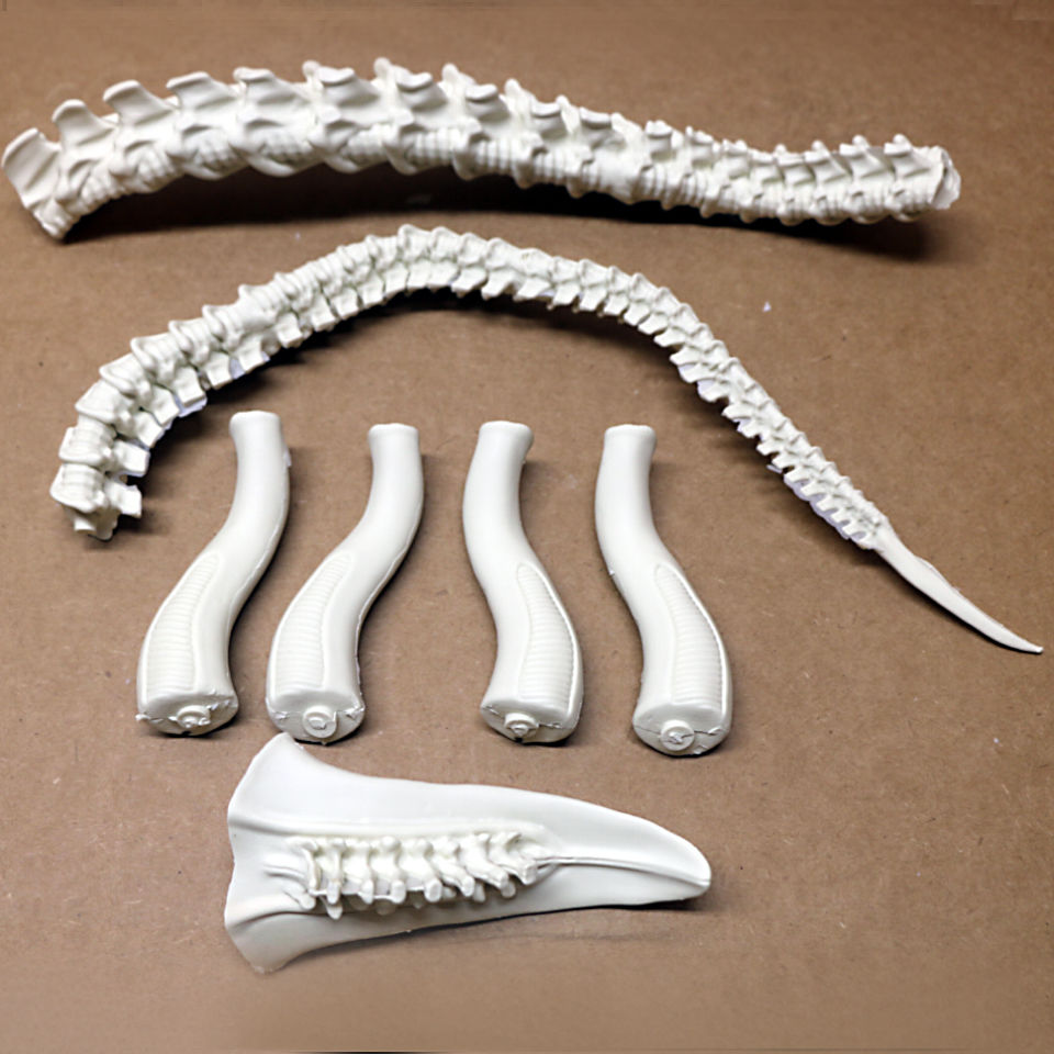 ALIENSTAGE／全種セット／まとめ売り ALIEN & JONES 1/4scale kit【入荷中】 | Roswell Japan