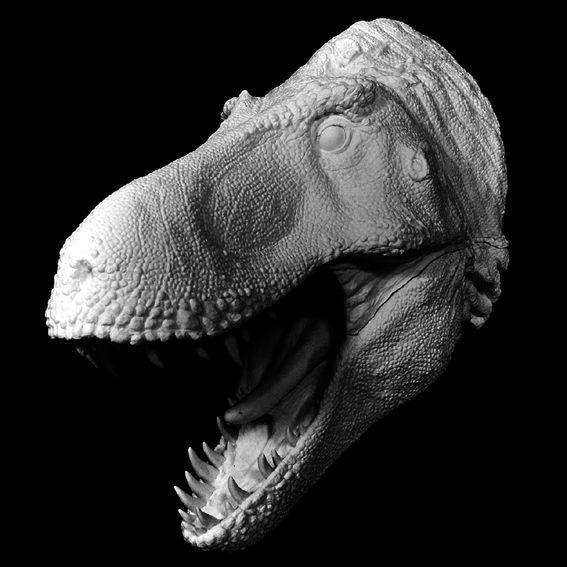 その他 T-Rex V1s Bandai 1/32 Imaginary Skeleton Tyrannosaurus, Keine, One