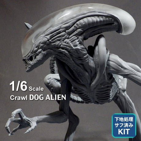 CATEGORY Kit | Roswell Japan