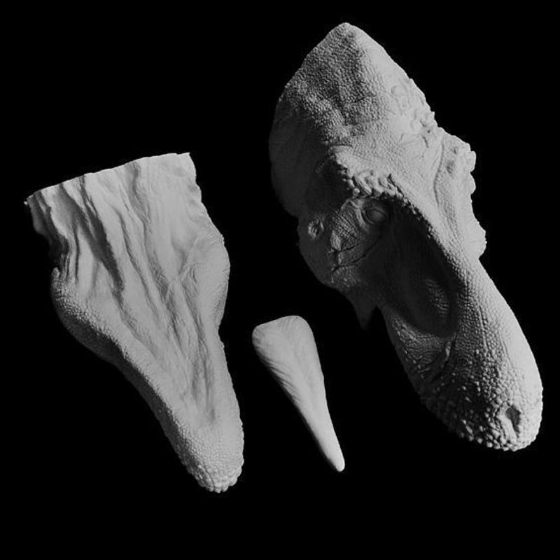 その他 T-Rex V1s Bandai 1/32 Imaginary Skeleton Tyrannosaurus, Keine, One