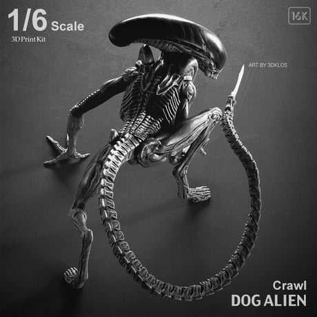 CATEGORY Kit | Roswell Japan