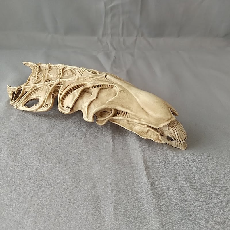 Queen Skull 完成品【訳あり】 | Roswell Japan