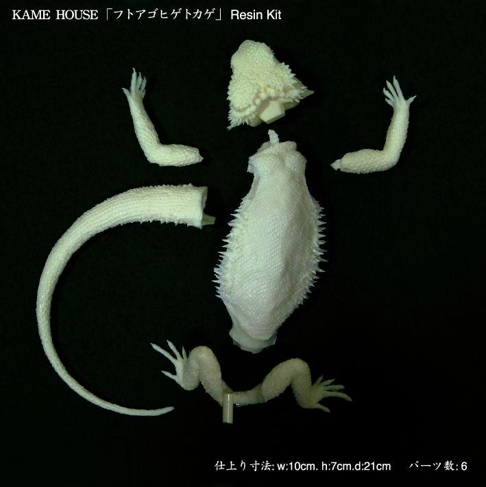 【完売】うささん*オリジナル(フトアゴヒゲトカゲのナッツ君)ハート缶バッジ フトアゴヒゲトカゲキット【入荷中】 | Roswell Japan