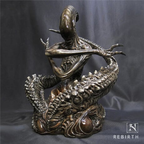 CATEGORY Narin Studio | Roswell Japan CATEGORY Narin Studio | Roswell Japan