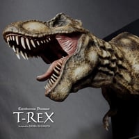 T-REX 完成品