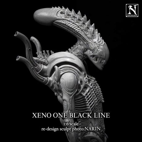 CATEGORY Narin Studio | Roswell Japan