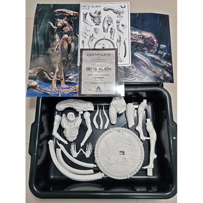 Beta Alien kit【取り寄せ】 | Roswell Japan