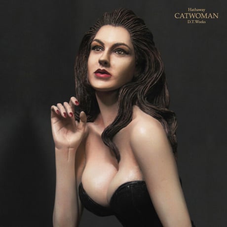 Hathaway Catwoman完成品