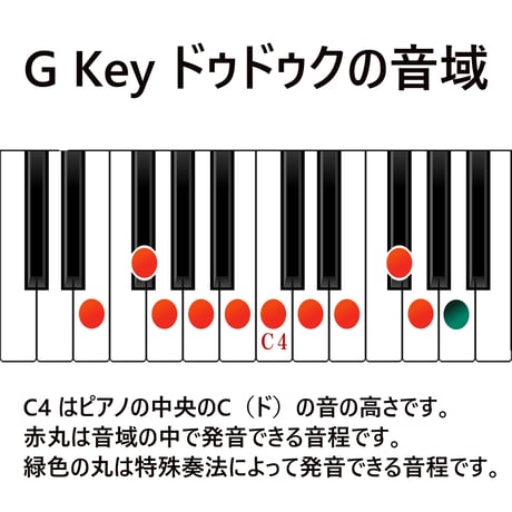 【Serial No.1793】《ドゥドゥク》G管 スタンダードタイプ 10穴 (リード＆ケース付属)
