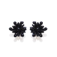 TOP only  /// Black swan