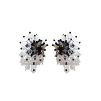 Myltille /// Clear black