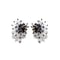 Myltille /// Clear black