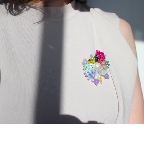 broach(L) /// Sea anemone
