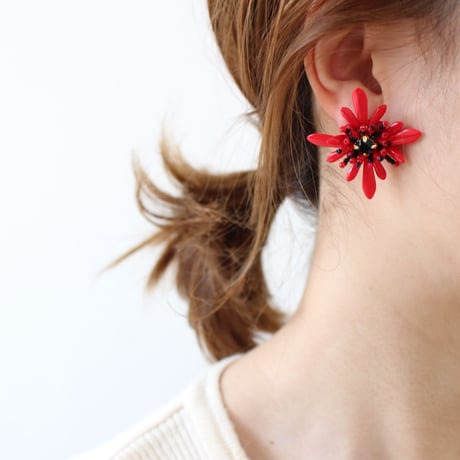 Gerbera...red × black