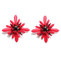 Gerbera...red × black