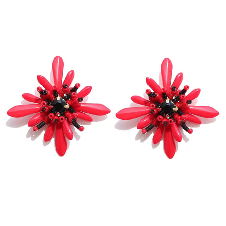 Gerbera...red × black