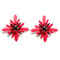 Gerbera...red × black