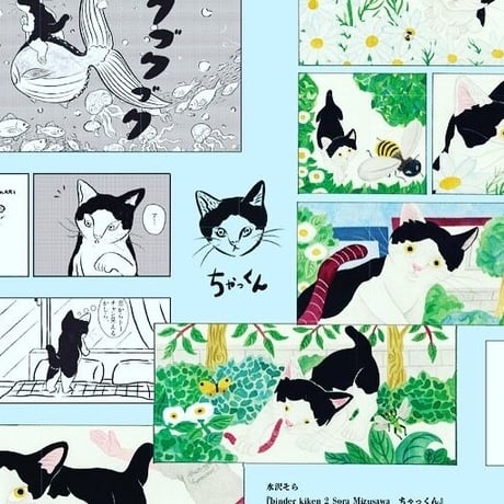 binder kiken 2 Sora Mizusawa　ちゃっくん
