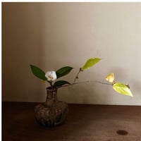 Q Tani 花入れ