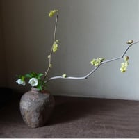 Q Tani 谷穹　蹲-uzukumaru-