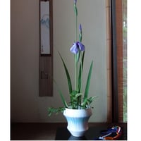 Akihito Imamai 錫 笹型銘々皿 | g's gallery