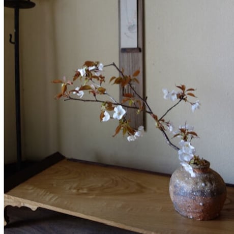 Q Tani  谷穹　蹲 (桐箱付き)