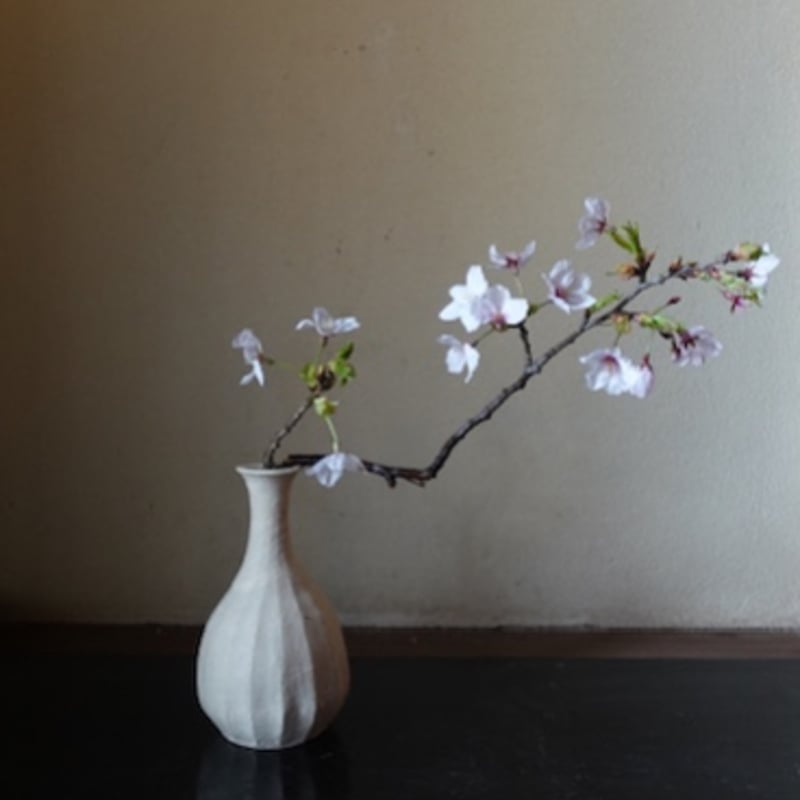 信楽花入 Q Tani 谷穹 白信楽 花入れ | g's gallery
