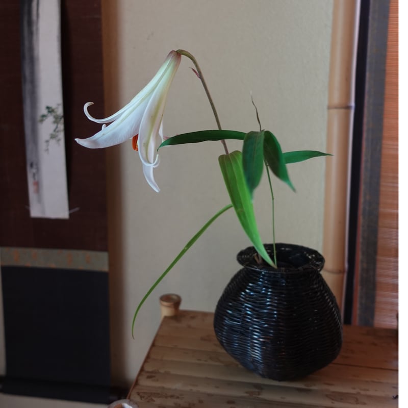 Yoshimichi Yoshida 吉田佳道 竹掛け花入 おぼろ | g's gallery