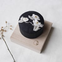 Mayumi Tomita 宝箱