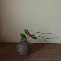 Q Tani 蹲