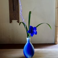 Ryuji Iwasaki 紫匂　花器