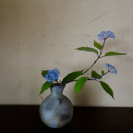 Q Tani 　信楽とくりor 花入れ