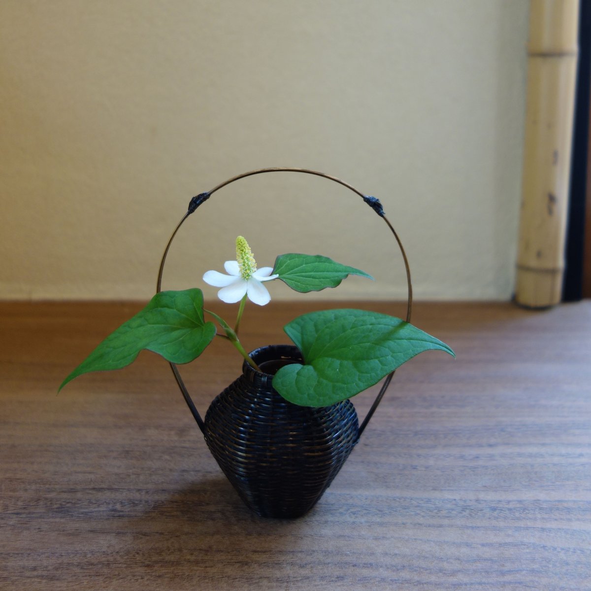 Yoshimichi Yoshida 吉田佳道 小の籠(手付き) | g's gallery