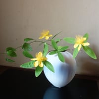 Ryuji Iwasaki 岩崎龍二　紫匂花器