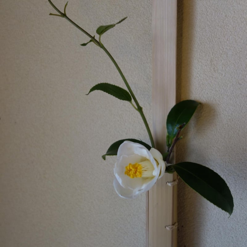 Yoshimichi Yoshida 吉田佳道 四角竹掛花入れ mado III | g's