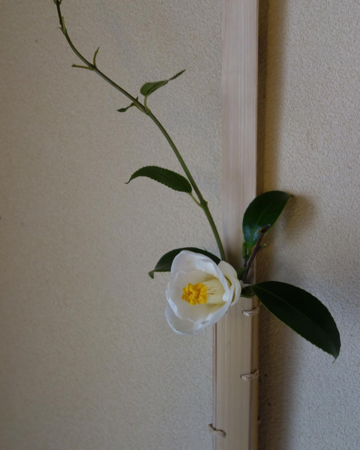 竹　花入れ　立鶴 鶴首花入（花入）