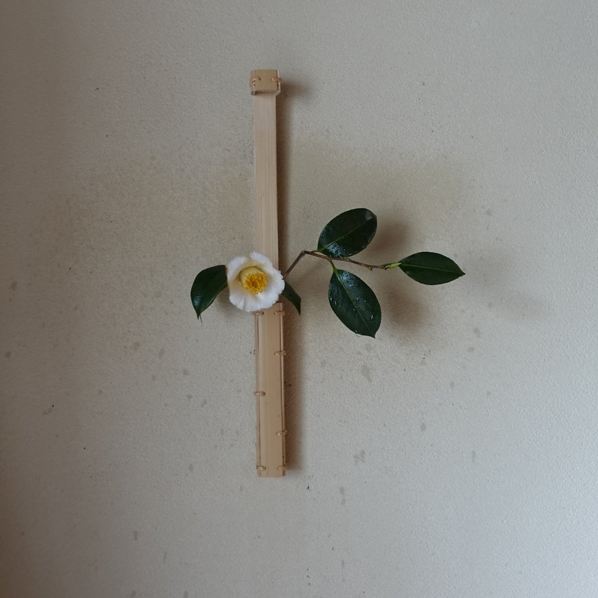 Yoshimichi Yoshida 吉田佳道 四角竹掛花入れ mado III | g's