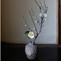 Q Tani 谷穹　蹲ーuzukumaru