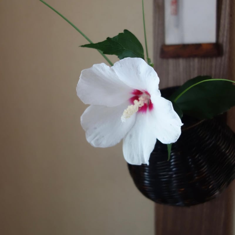 花入 Yoshimichi Yoshida 吉田佳道 竹掛け花入 おぼろ | g's gallery